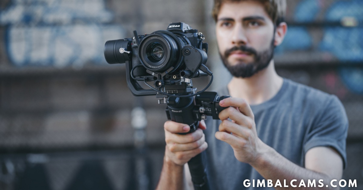 A Definitive Guide of Gimbal & Stabilizer