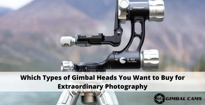 Which Types of Gimbal Heads You Want to Buy for Extraordinary Photography